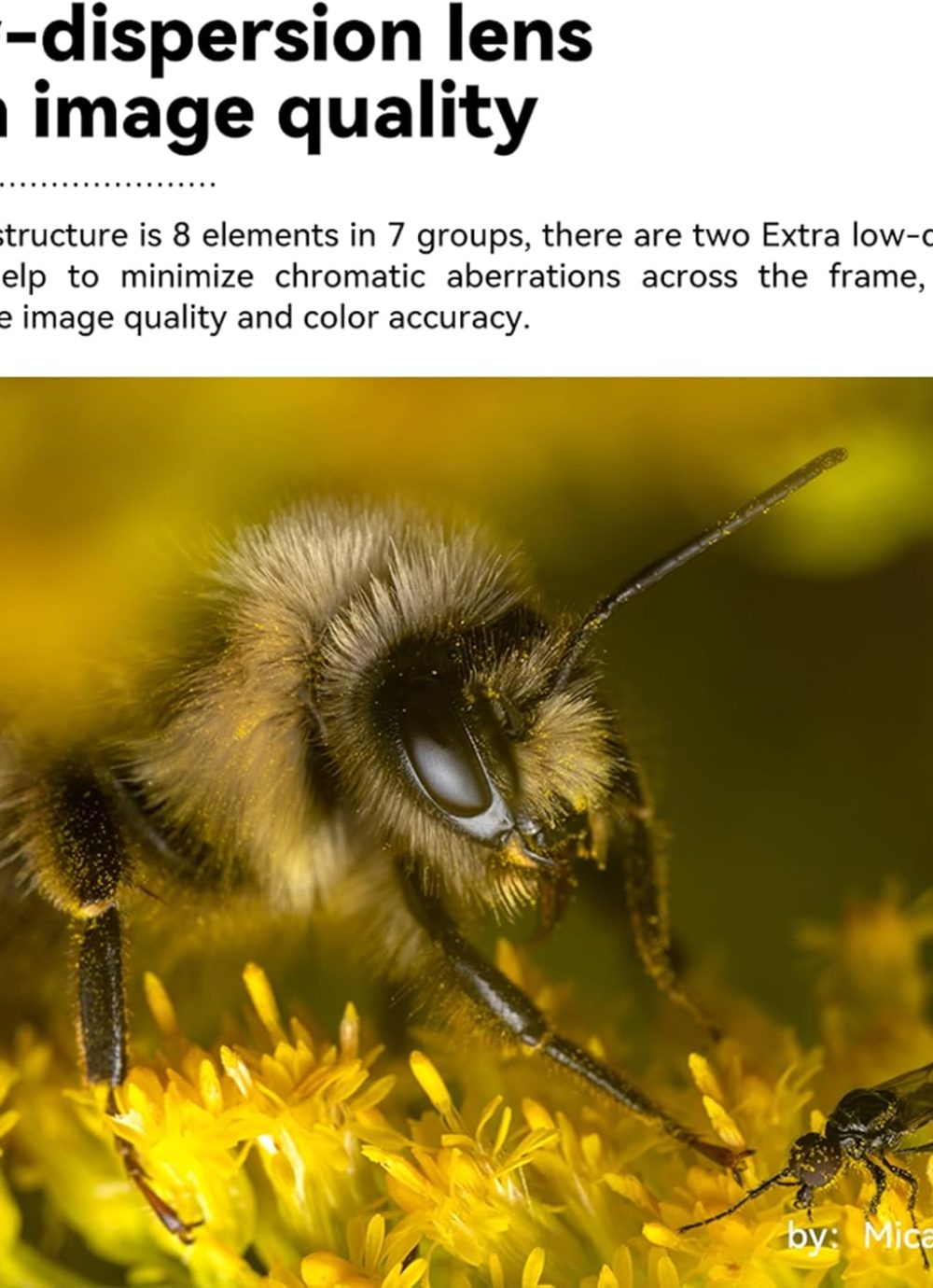 TTArtisan 40mm f/2.8 Macro Lens APS-C Manual Focus Prime Lens for E-Mount A5100 A6100 A6500 A6600 A6700 NEX-3N NEX-3R NEX-5T NEX-5R NEX-7 A7II A7M3 A7RIV A7R5 A7S A9 A1 II - Image 3